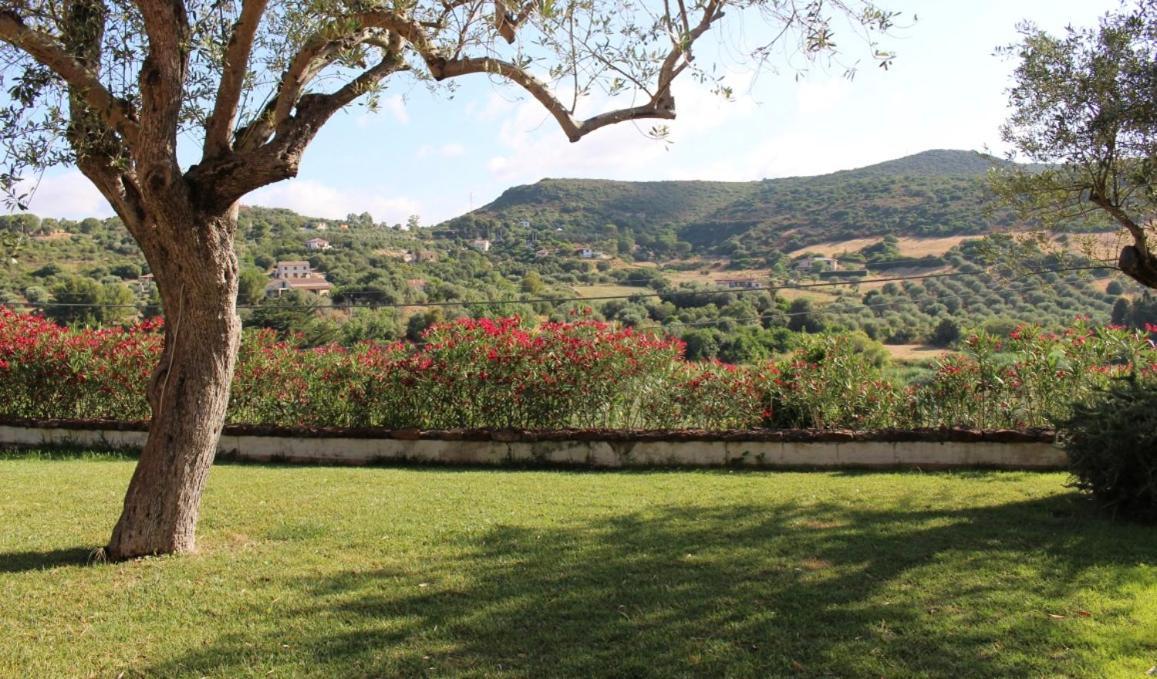 B&B Kapì Country Alghero Ngoại thất bức ảnh