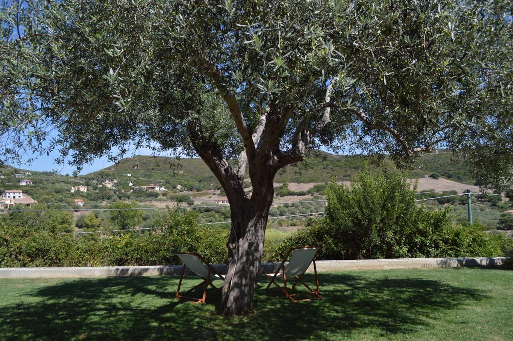 B&B Kapì Country Alghero Phòng bức ảnh