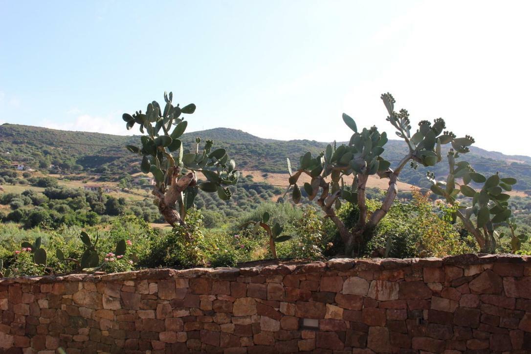 B&B Kapì Country Alghero Ngoại thất bức ảnh